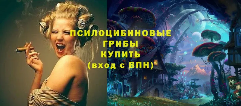 Галлюциногенные грибы Psilocybe  Петровск-Забайкальский 